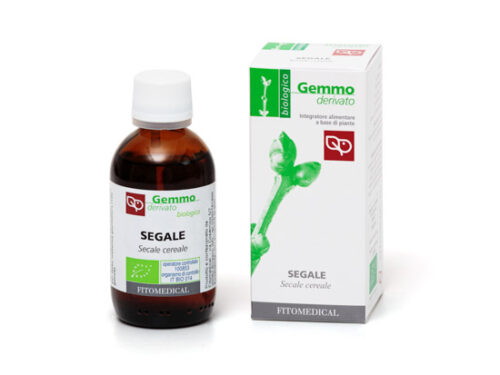 Segale MG Bio