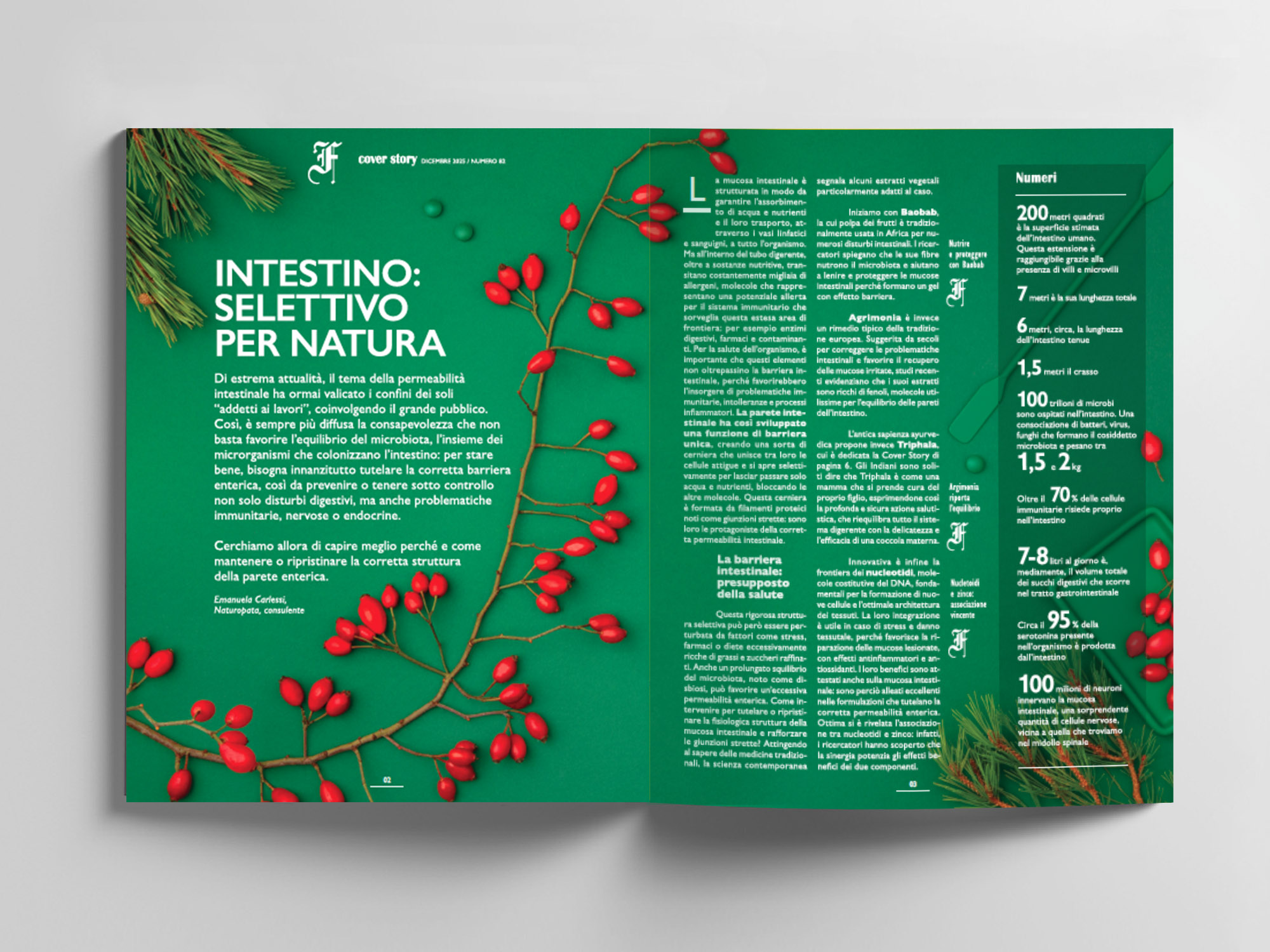 La porta della salute – Fitonews n°82/2025